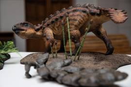 Fotografía de un modelo de la nueva especie de dinosaurio acorazado descubierta por investigadores de la Universidad de Chile, durante un evento ante la prensa en Santiago, Chile. EFE/Alberto Valdes