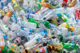 La autoridad ambiental hizo un llamado a la población, para que no deposite las botellas de plástico en los botes o bolsas de basura.