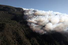 Incontrolable: fuego no cede en Sierra de Arteaga, fuertes vientos obligan a suspender momentáneamente trabajos de combate