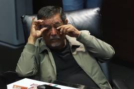 El legislador sostuvo que Morena debe “sacudirse” de malos hábitos y de “usos y costumbres”.