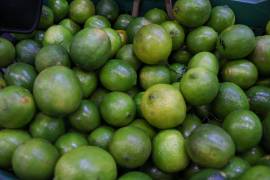 Vendedores de frutas y verduras explican que la compra de toneladas de limón se ha complicado, ya que existe un desabasto.
