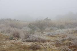 El fenómeno tuvo menor intensidad en comparación con frentes fríos anteriores.