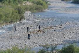 El subsecretario de Protección Civil del Estado, Francisco Martínez Ávalos, informó que durante la jornada de ayer miércoles recorrieron aproximadamente 50 kilómetros del arroyo.