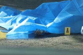 Buscan erradicar la impunidad y avanzar hacia un modelo en el que las fiscalías especializadas operen con criterios comunes y personal debidamente capacitado en todo el país.