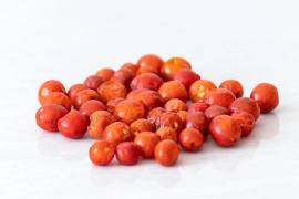 El chile Chiltepín, pequeño y potente, originario del norte de México y sur de Estados Unidos.
