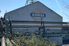 POLITICÓN: AHMSA, sin garantías ni acuerdos para concretar su venta