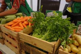 José Humberto Zertuche atribuyó el aumento en la canasta básica a la falta de apoyos al campo.