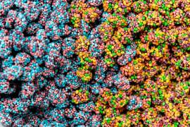 Las Nerds Gummy Clusters salieron a la venta en 2020 y su popularidad se ha disparado.