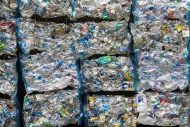 Reciclar materiales como el PET y el aluminio no solo contribuye al cuidado del medio ambiente, sino que también puede generar ingresos adicionales.