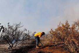 La sequía y el calor aumentan las posibilidades de que se generen incendios forestales; no enciendas fogatas en las zonas boscosas.