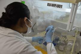 Lidera Coahuila en mujeres científicas