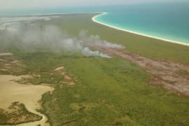 Incendio en isla Holbox fue provocado, confirma Profepa