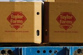 Cajas de Taylor Farms en un campo de Doctor Mora, en el estado de Guanajuato, en el centro de México, el 26 de marzo de 2008.