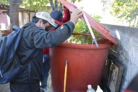 Cubetas, botes y otros recipientes con agua pueden convertirse en criaderos dentro de los hogares.