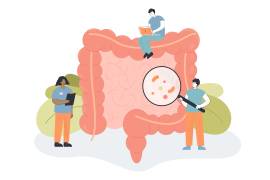 Recuperar la salud intestinal comienza con cambios sencillos y sostenibles en la rutina diaria para evitar señales de alerta como fatiga, inflamación o digestiones pesadas.