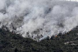 Incendio en las comunidades de Arteaga, El Tunal y Carbonera.