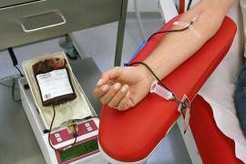 A partir de la Pandemia, los donadores de sangre disminuyeron hasta casi desaparecer el padrón de voluntarios.