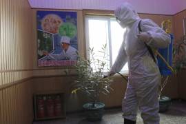 Un miembro del Centro de Sanidad y antiepidémico del distrito de Phyongchon, desinfecta un edificio el 5 de febrero de 2021, en Pyongyang.