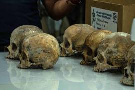 Vista de cráneos que son examinados por investigadores del Instituto Nacional de Antropología e Historia (INAH) en el municipio de Tuxtla Gutiérrez, estado de Chiapas (México).