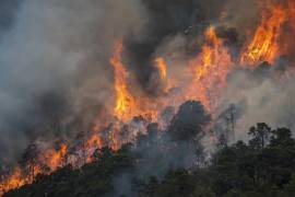Eglantina Canales, exsecretaria de Medio Ambiente de Coahuila, señaló la carencia de recursos para el combate a incendios forestales durante su comparecencia ante el Congreso del Estado.