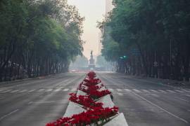 La OMS ha señalado que 99% de la población mundial vive en lugares donde no se cumplen sus guías de calidad del aire.