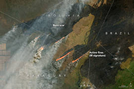 Analizan investigador de El COLEF, impacto de incendios en el Amazonas de Brasil