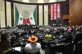 El dictamen, circulado la semana pasada entre legisladores, fue elaborado a partir de propuestas de legisladores del PVEM, PAN, PRI, MC y Morena. FOTO: Cuartoscuro