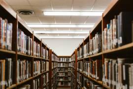A la par, hay más planteles para licenciaturas y menos para profesionales técnicos.