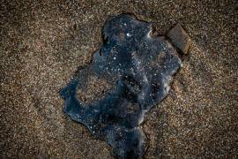 La limpieza del derrame de hidrocarburo en el Golfo de México aumentó 13% y recolectó 889.4 toneladas en las costas de Veracruz, Tabasco y Campeche.