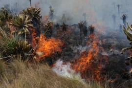 El combate a las llamas en un cerro de la provincia de Loja tiene ya más de 10 días.