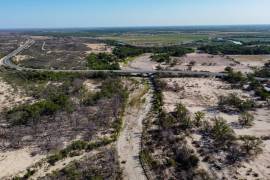 Amigos del Río San Rodrigo denuncian daños ambientales en el ecosistema del río.