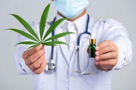 El consumo de cannabis medicinal puede implicar algunos riesgos. Los principales son: psicosis, cardiopatías, problemas durante el embarazo, enfermedades hepáticas, adicción y sobredosis.