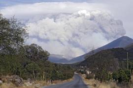 El municipio mantiene acciones permanentes como quemas controladas y limpieza de material vegetal.