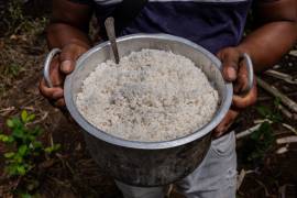 En miles de laboratorios improvisados en la selva, los trabajadores muelen hojas de coca y las mezclan con productos químicos para crear pasta de cocaína que luego se destila en ladrillos.