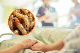 El gobierno de Copala, Guerrero, confirmó el día de ayer el posible primer caso de miasis de gusano barrenador en un ciudadano.