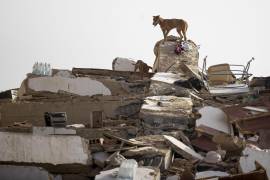 Autoridades de Venezuela actualizaron cifras tras los sismos que dejan 920 muertos, miles de heridos y daños estructurales, mientras brigadas internacionales apoyan el rescate en La Guaira.