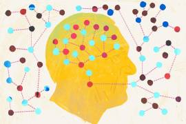 Hablar más de un idioma implica un esfuerzo constante del cerebro.