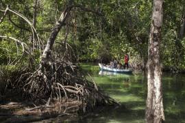 La laguna rodeada de árboles brillaba de un color que solo suele verse en el pasillo de los enjuagues bucales y, bajo la superficie de sus aguas cristalinas, las ramas caídas parecían manos abiertas listas para cacharte.