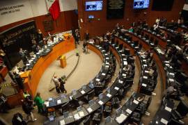 El documento que da cuenta de la reserva avalada por la cámara alta, circula en medio del debate y los señalamientos.