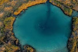 Destacó riquezas como la de los vinos de Coahuila, que destacan con premios nacionales e internacionales.