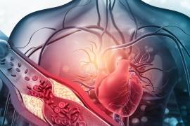 La hipertensión arterial afecta a millones de personas y suele avanzar sin causar molestias evidentes. Por esta razón se le conoce como el “asesino silencioso”, ya que puede provocar infartos, derrames cerebrales y daño renal sin previo aviso.