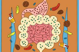 Dolor abdominal, hinchazón, diarrea, estreñimiento: los síntomas del síndrome del intestino irritable (SII) son reales y pueden ser debilitantes.