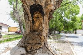 El árbol del “Aquelarre” y “La llorona” son dos esculturas de las más significativas en la Región Sureste del Estado.