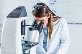 El Sistema Estatal de Investigadores de Coahuila 2026 abrió su convocatoria para estudiantes, académicos y especialistas de la entidad.