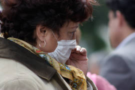 Influenza H1N1 vuelve a México y la minimizan: legisladores; el Gobierno falla en prevención