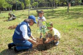 Realizan en Ramos padrón de árboles