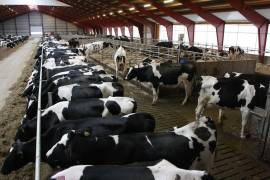 Canadá ha estado socavando el valor de sus contingentes arancelarios de productos lácteos para exportadores de EU.