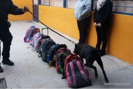 El secretario de Educación mencionó que los sindicatos educativos se encuentran trabajando en la revisión de lineamientos que ayuden a atender la situación.