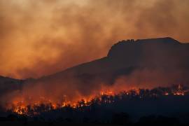 Incendio forestal en Nevado de Toluca consume la vegetación en Trampa Grande, en Santiago Tlacotepec.