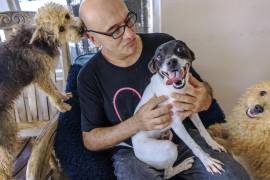 Un voluntario en la Misión de Rescate “Adopta y Salva una Vida”. Según la organización ahora se enfrentan al problema de mascotas que quedan abandonados tras la deportación de sus dueños de EU.